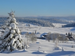 Paysage hiver
