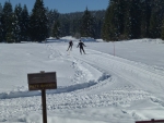 Ski nordique